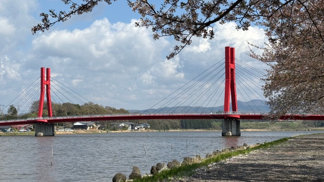 桜も散り春も終わりなのでしょうか？